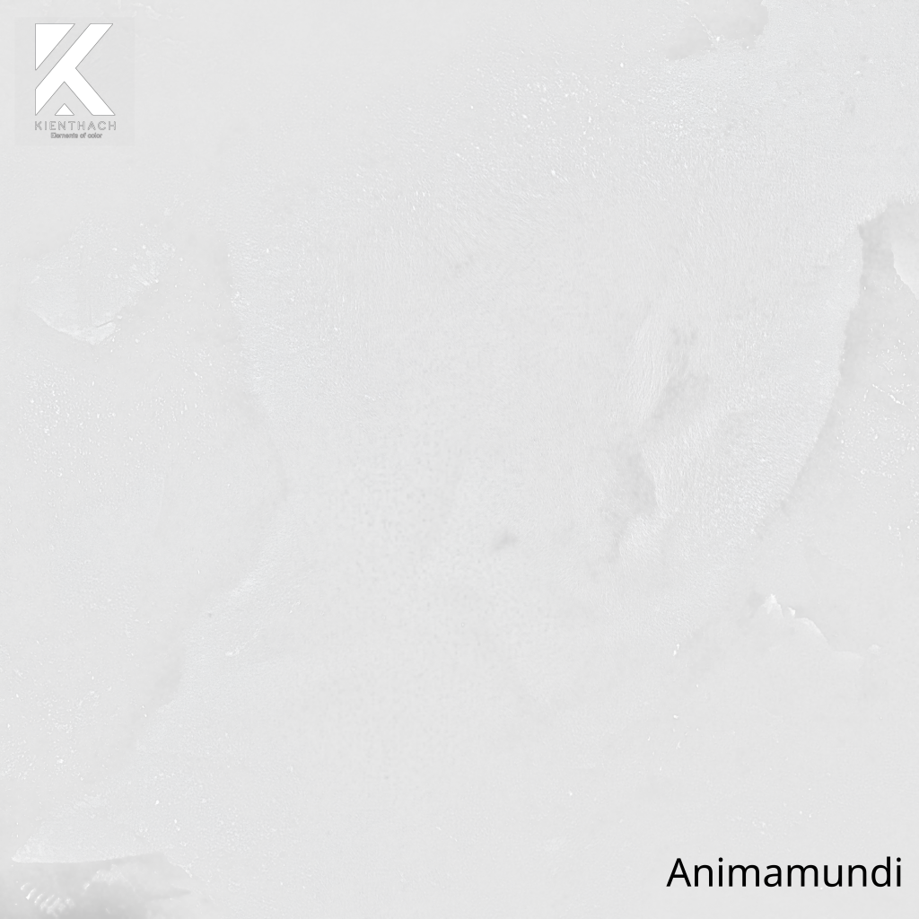 Animamundi