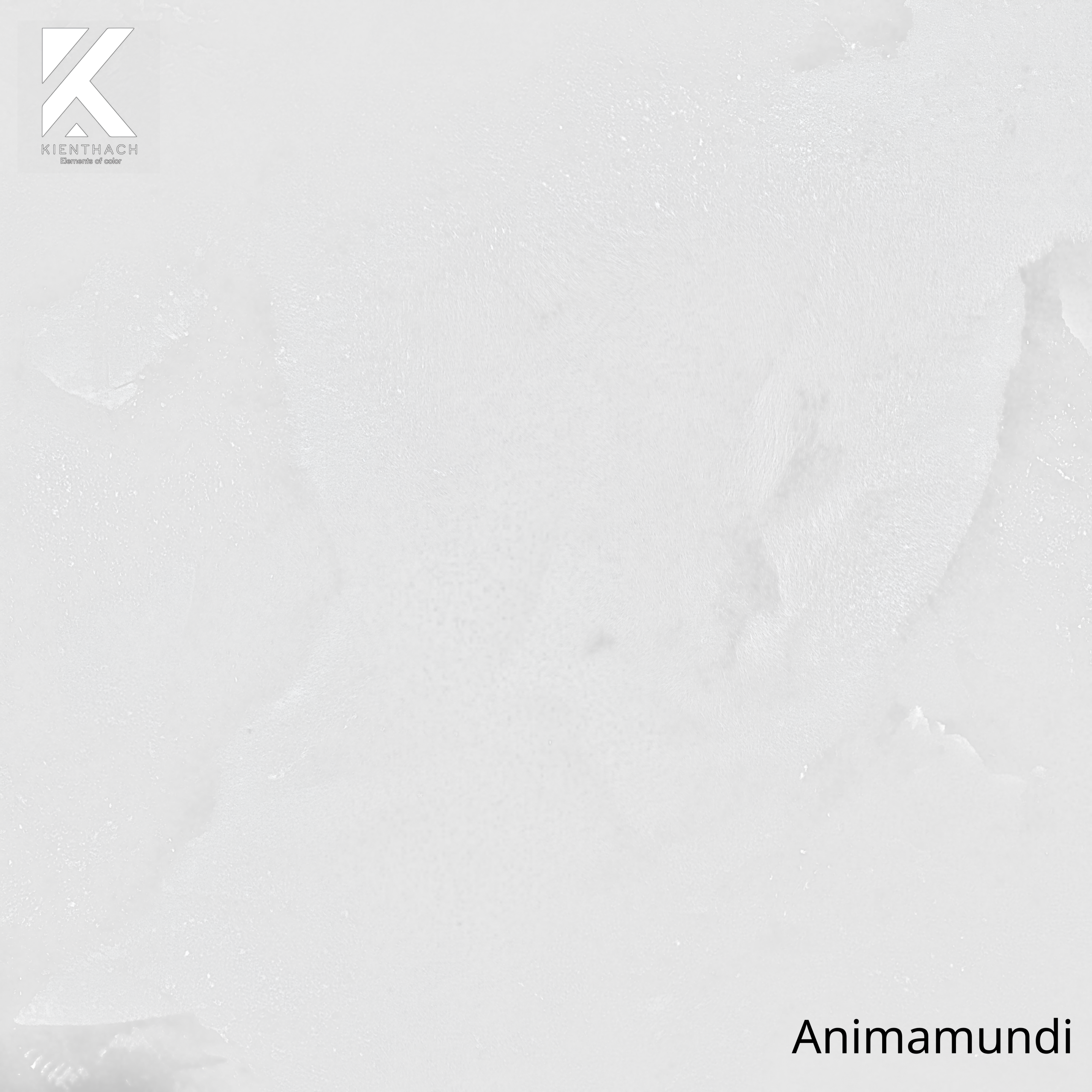 Animamundi