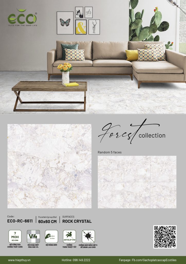 BỘ SƯU TẬP FOREST