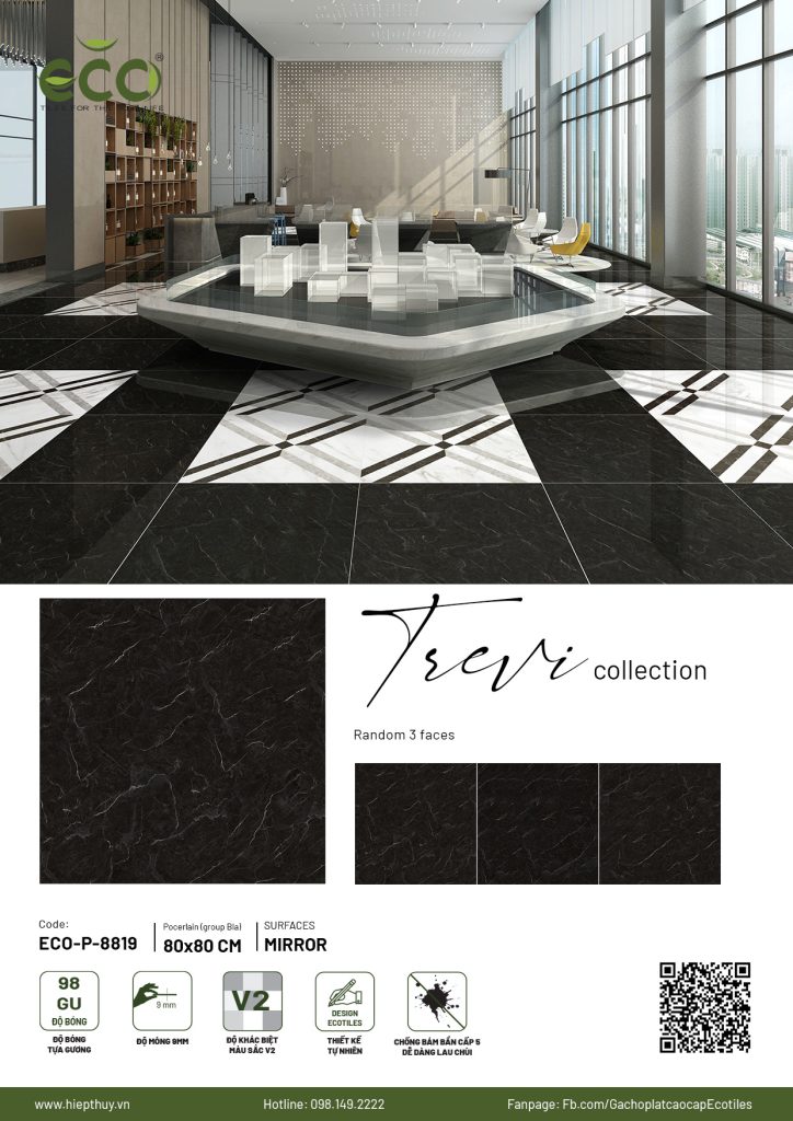 BỘ SƯU TẬP TREVI