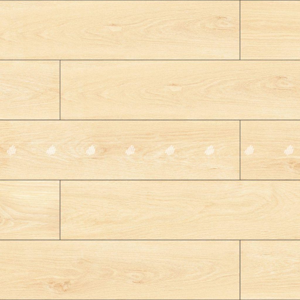 2080BANYAN002