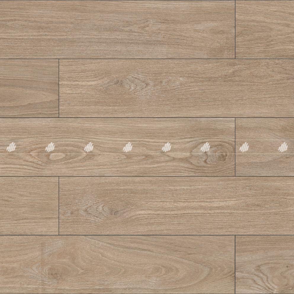 2080BANYAN003