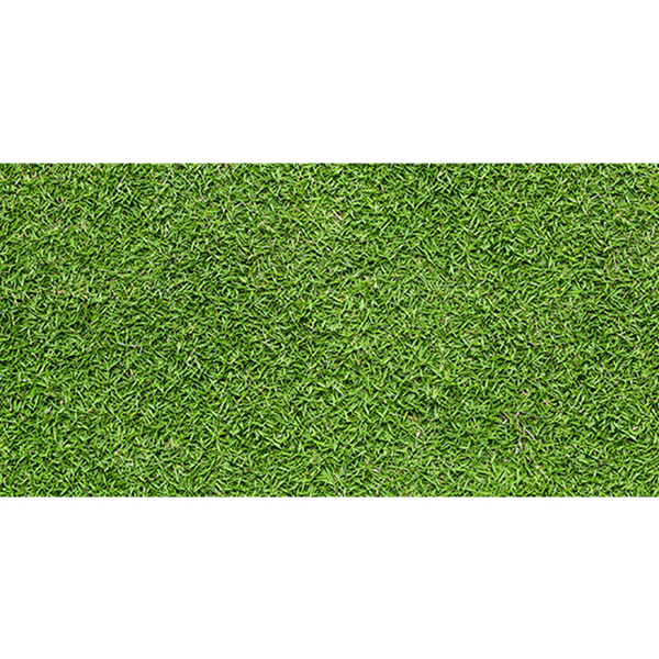 3060GREENERY001