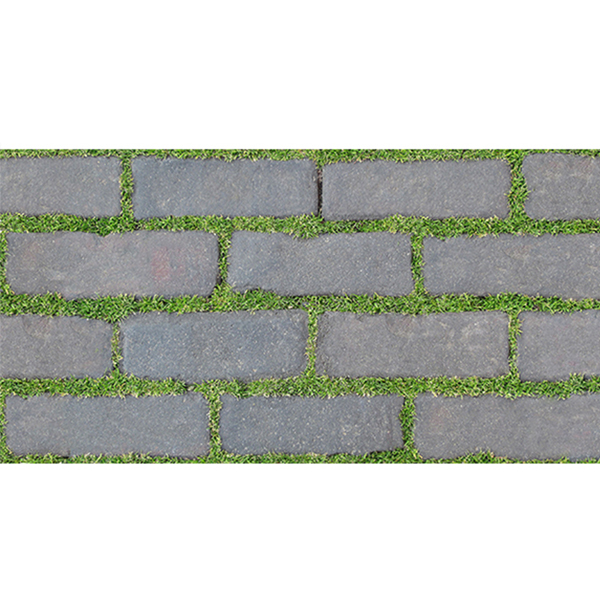 3060GREENERY007