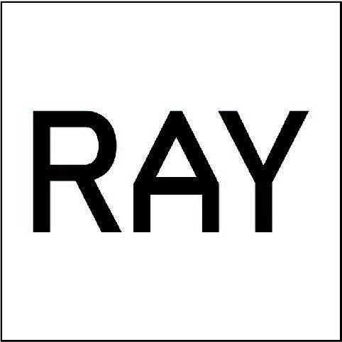 RAY Việt Nam