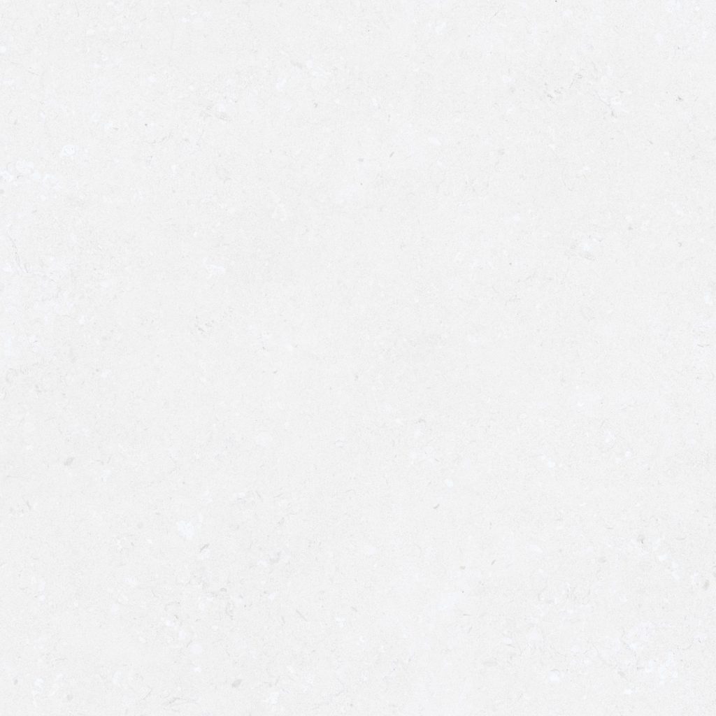 4040GECKO001
