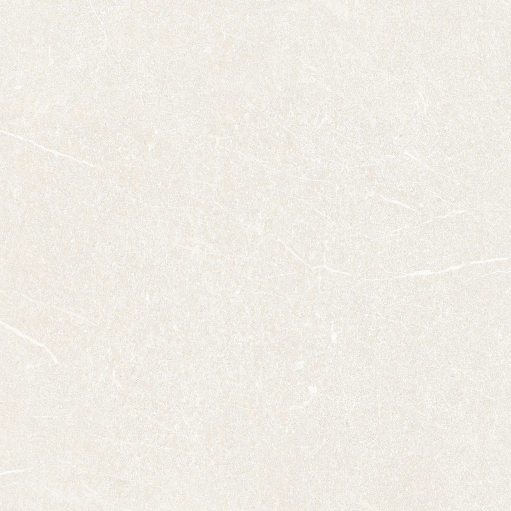 4040GECKO002