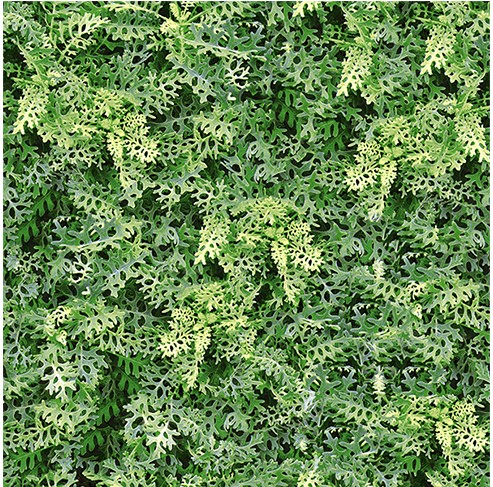 4040GREENERY001