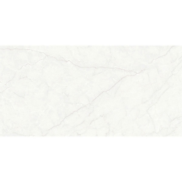 4080 AMBER 001 – H+