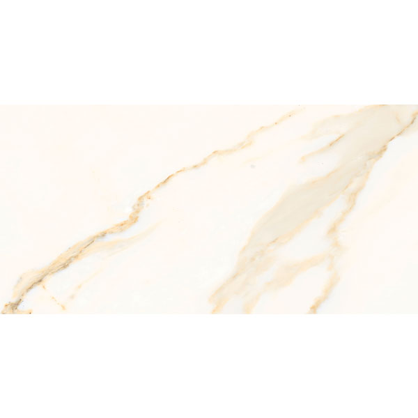 4080 REGAL 005 – H+