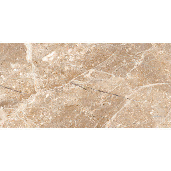 4080 REGAL 006 – H+