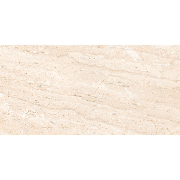 4080 REGAL 007 – H+