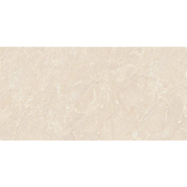 4080 REGAL 008 – H+
