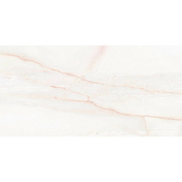 4080 REGAL 010 – H+