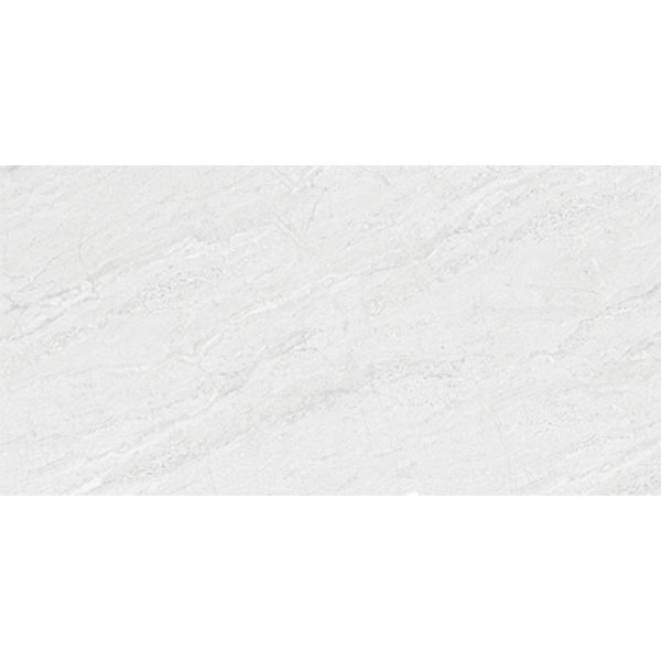 4080 REGAL 014 – H+