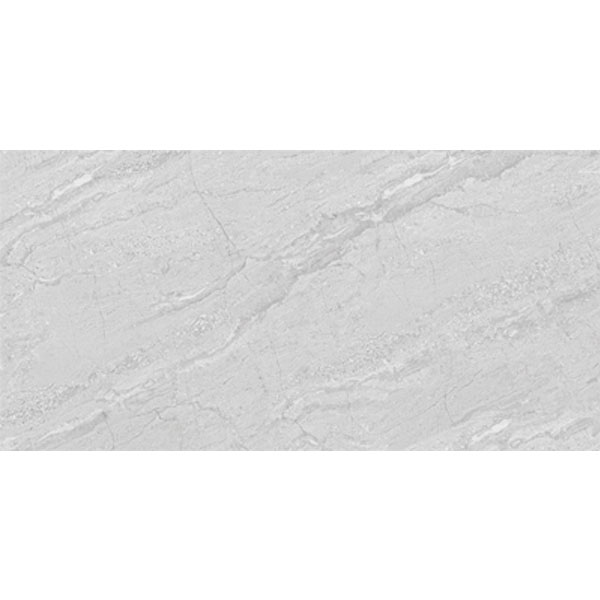 4080 REGAL 015 – H+