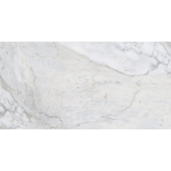 4080 REGAL 016 – H+