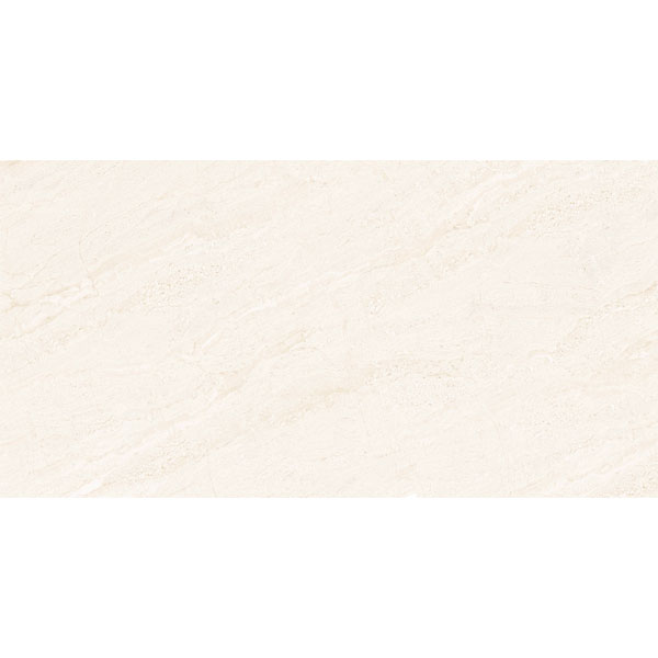 4080 REGAL 017 – H+