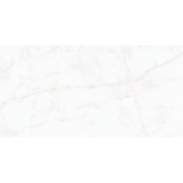 4080 ROXY 003 – H+