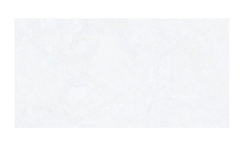 4080FAME005-H+