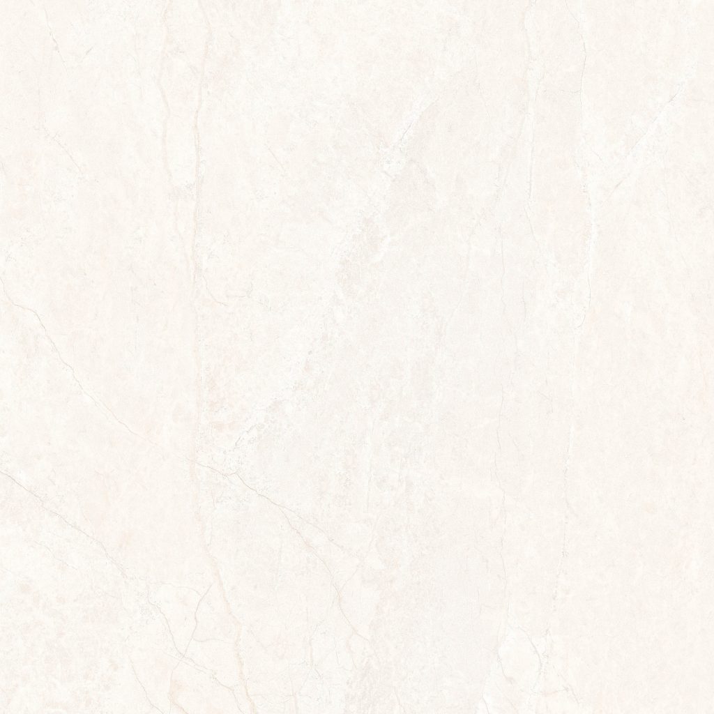 6060HONKHOAI007