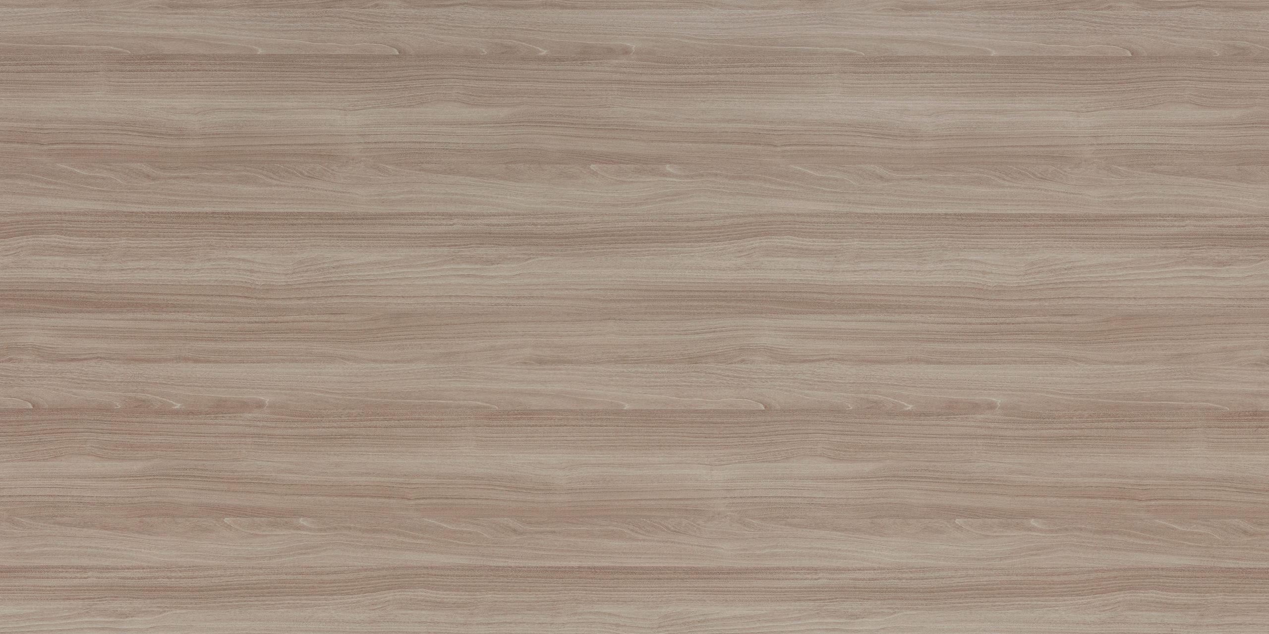 Wyoming Maple - MS 403 PL