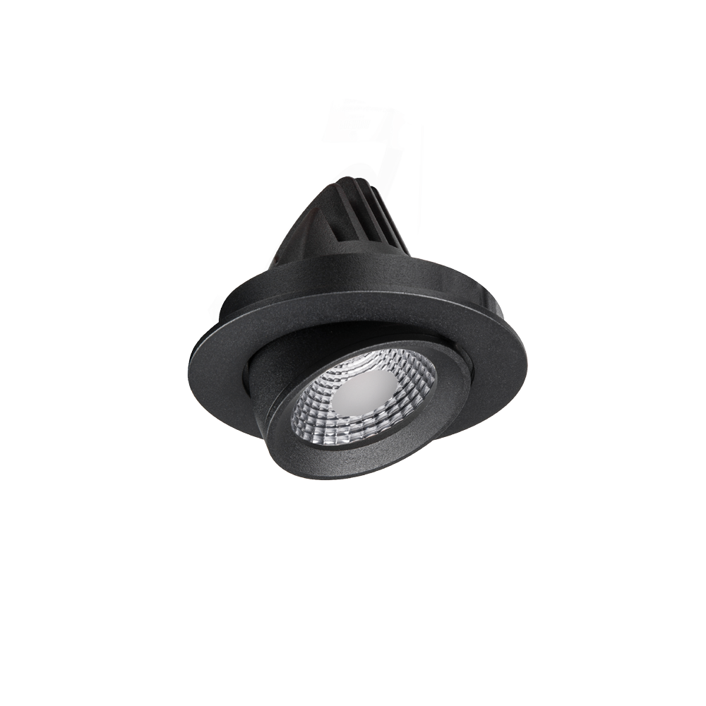Apex Adjustable Downlight