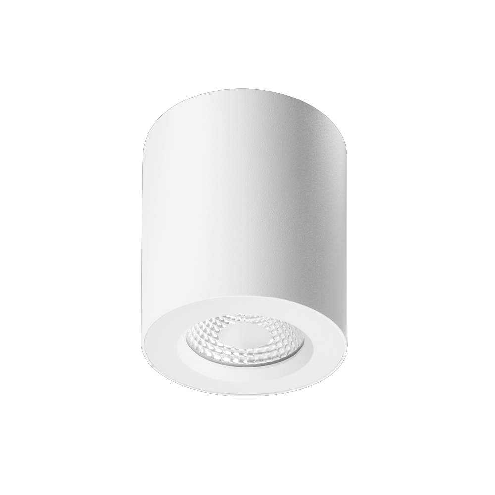 Apex Surface Mounted Downlight