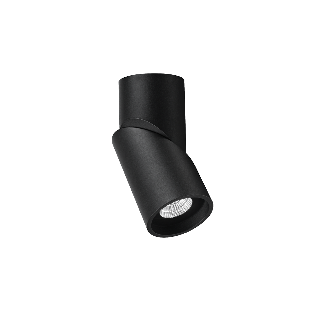 Axis Surface Mounted Downlight