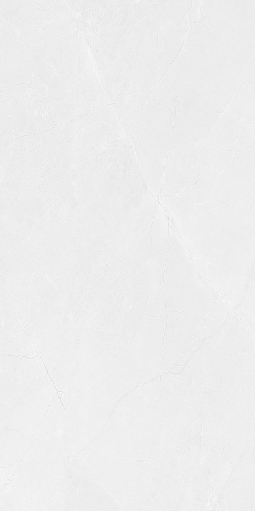 GẠCH PORCELAIN 60120MOMENT002-FP-H+