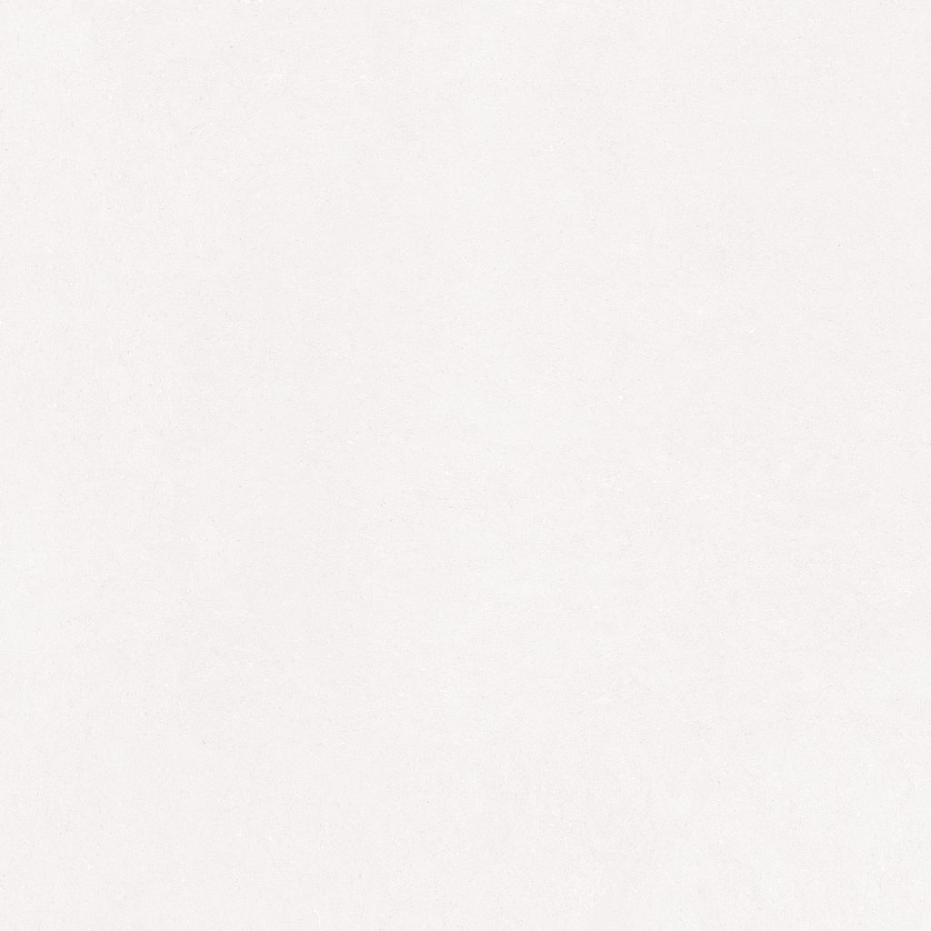 GẠCH PORCELAIN KHÁNG KHUẨN 100BARI001-H+