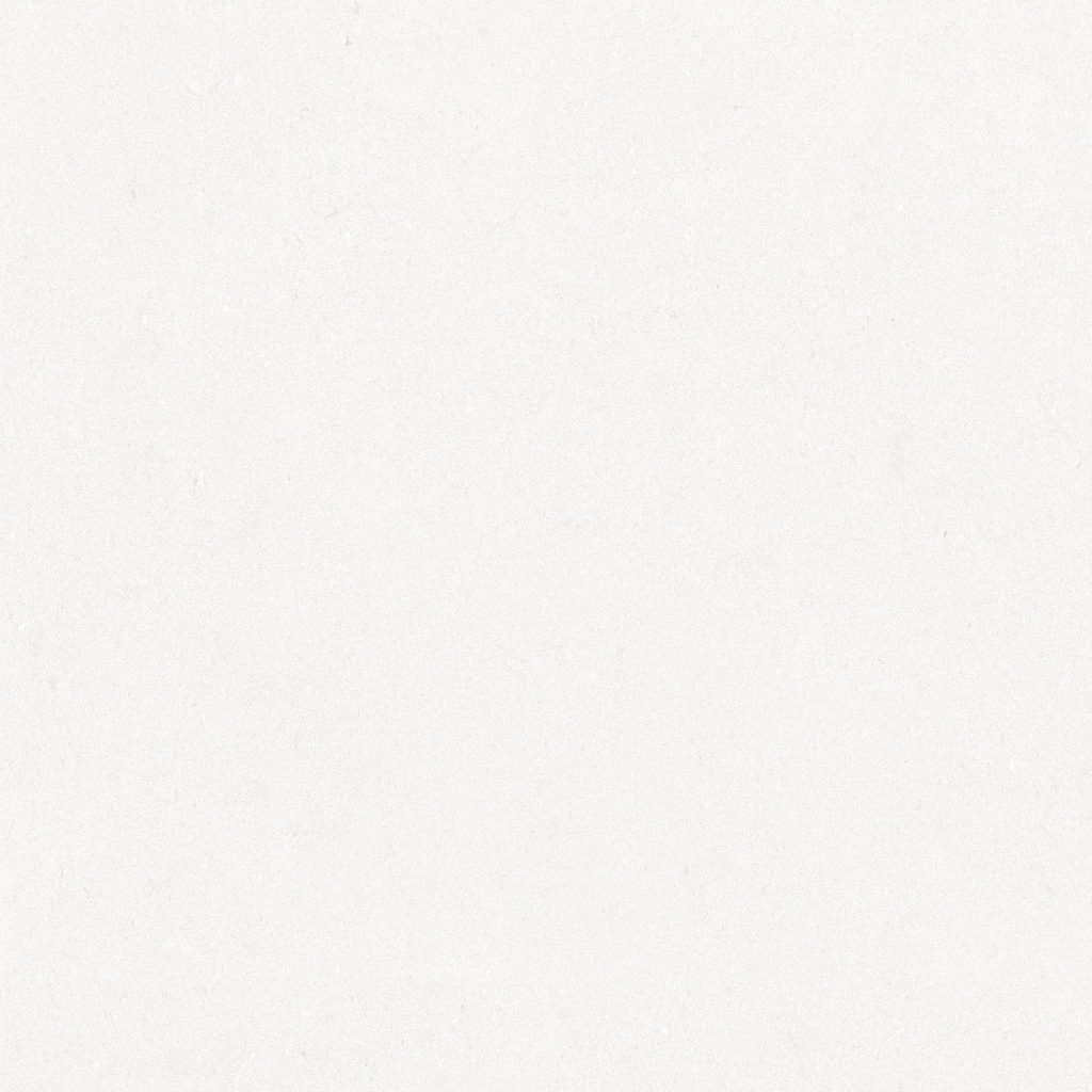GẠCH PORCELAIN KHÁNG KHUẨN 8080BARI001-H+