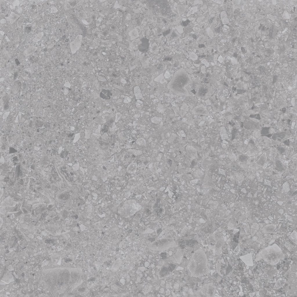 GẠCH PORCELAIN KHÁNG KHUẨN 8080BARI003-H+