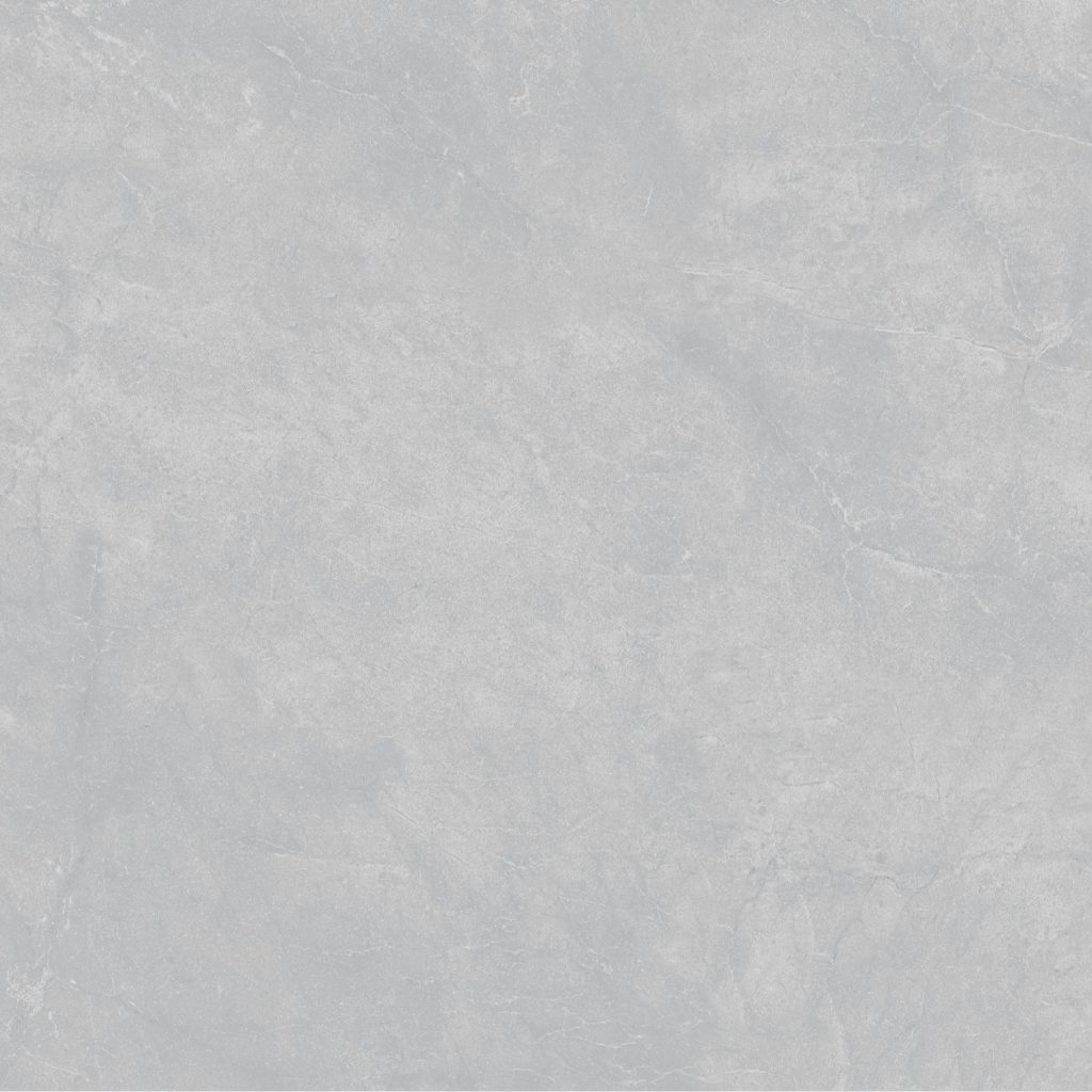 GẠCH PORCELAIN KHÁNG KHUẨN 8080CATANIA004-FP-H+