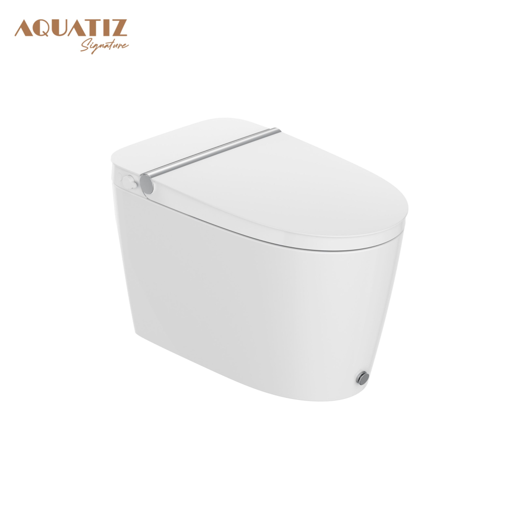 Bồn cầu bán thông minh AQUATIZ W520300