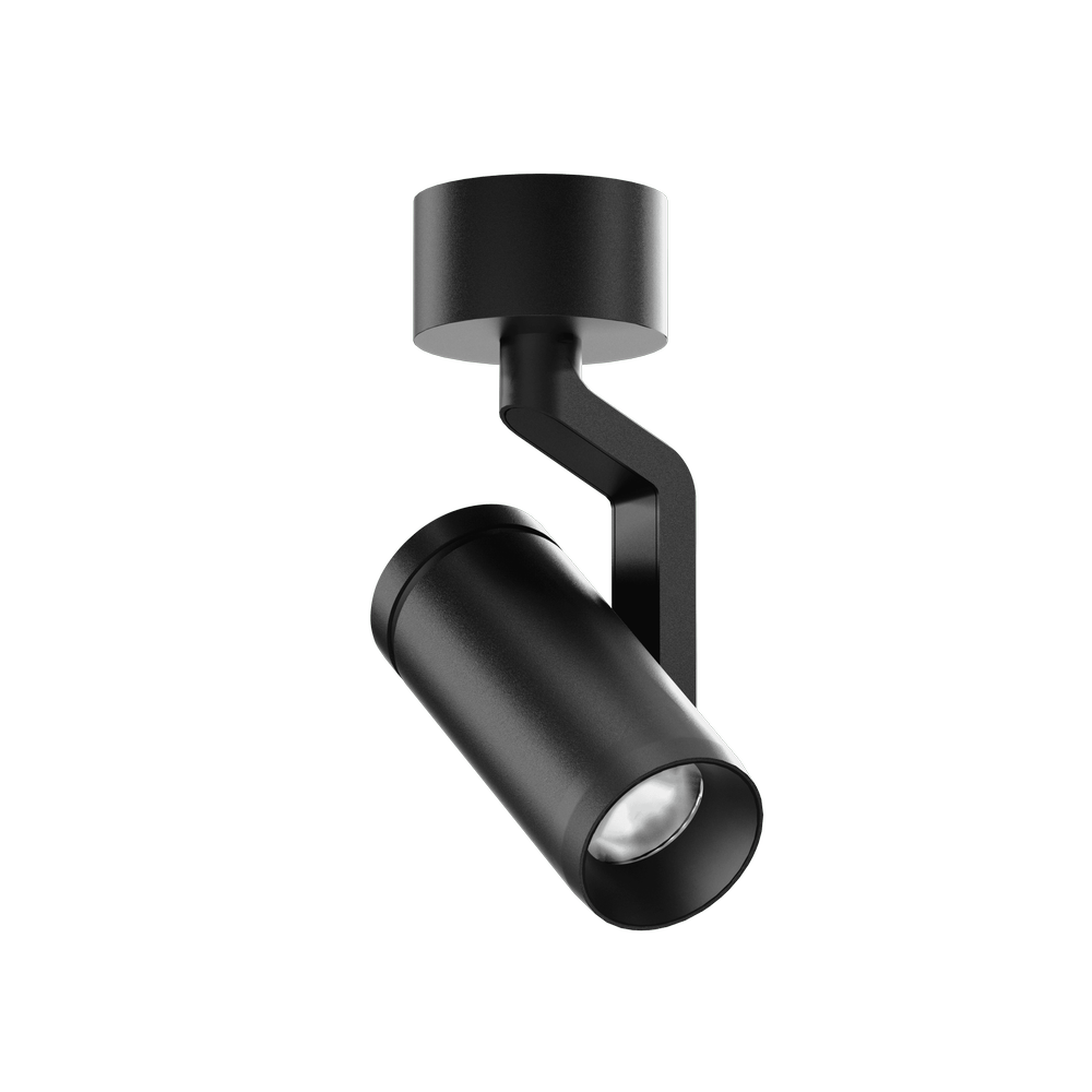 ION S Surface Mounted Spotlight