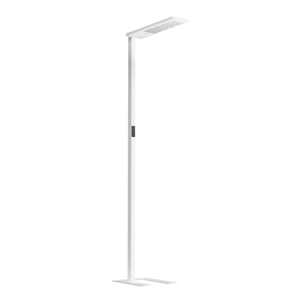 Max Freestanding Light