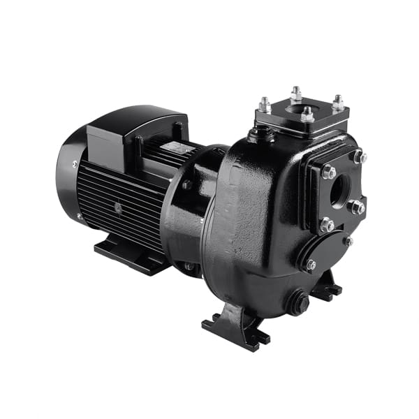 Máy bơm tự mồi Davey Mukmova Jumbo MM09/03 12.4HP 380V