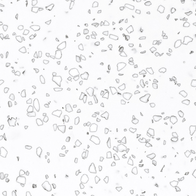 Mosaic Dalmatian