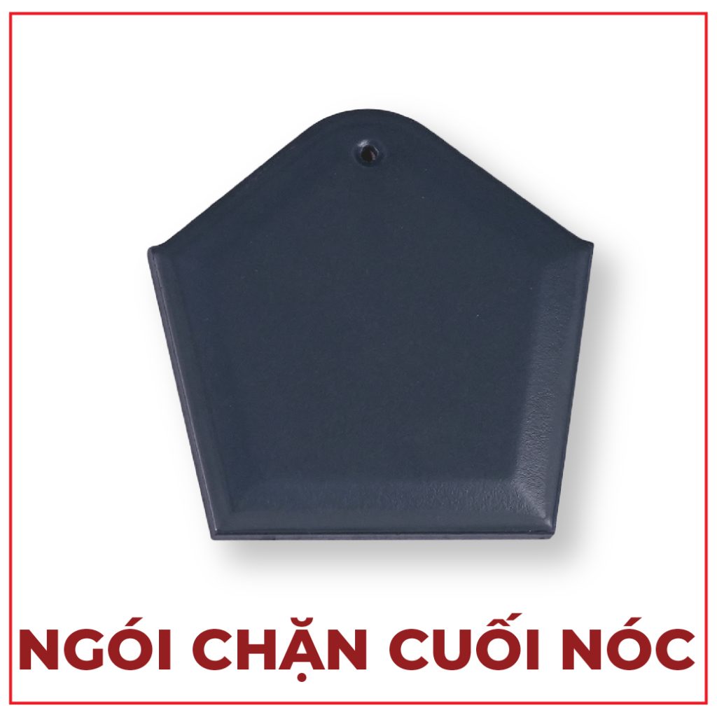 NGÓI CHẶN CUỐI NÓC