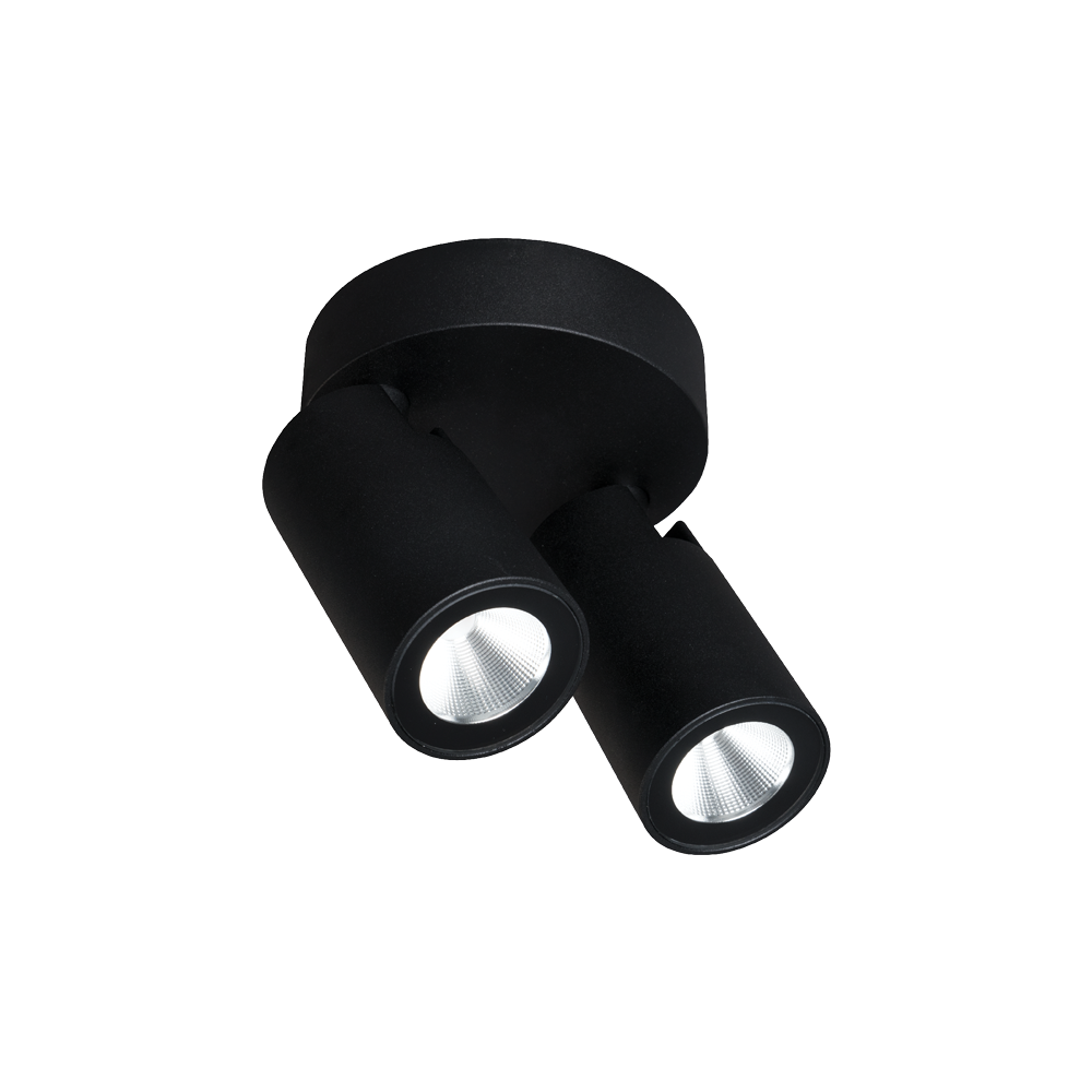 Onyx Spotlight