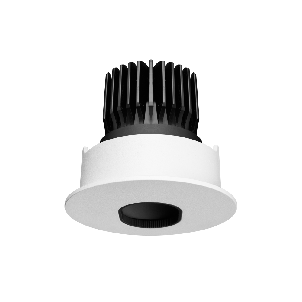 Particle Accent Downlight