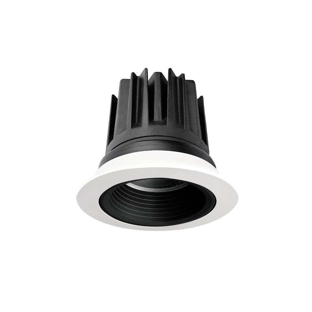 Particle Downlight