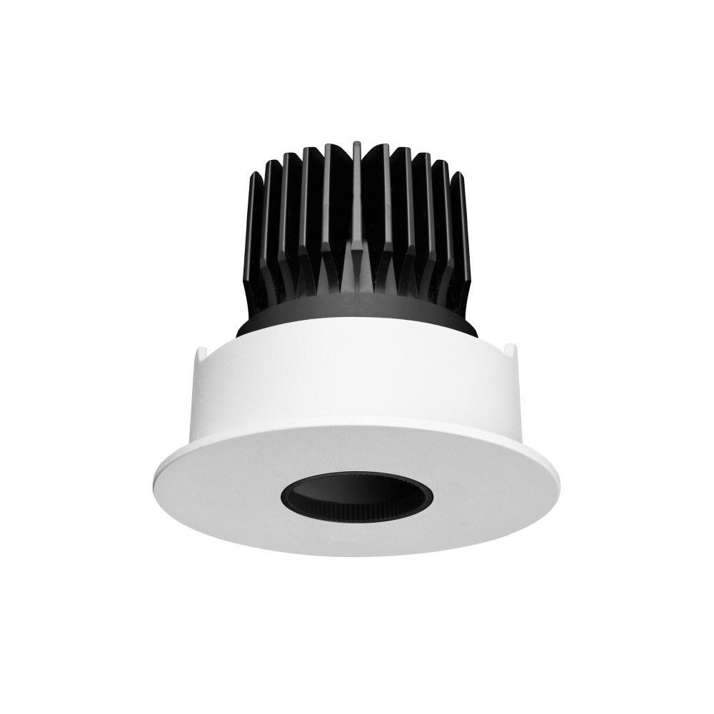 Particle Focus Downlight