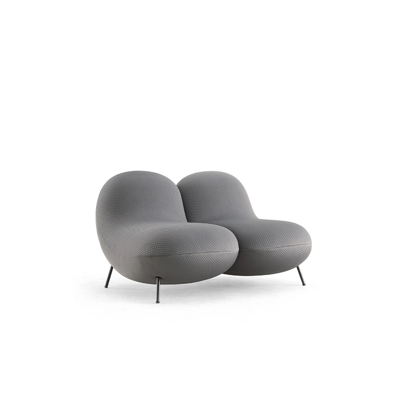 Sofa Vải Cao Cấp Nhập Khẩu 2 Chỗ MyChair SF802A-2