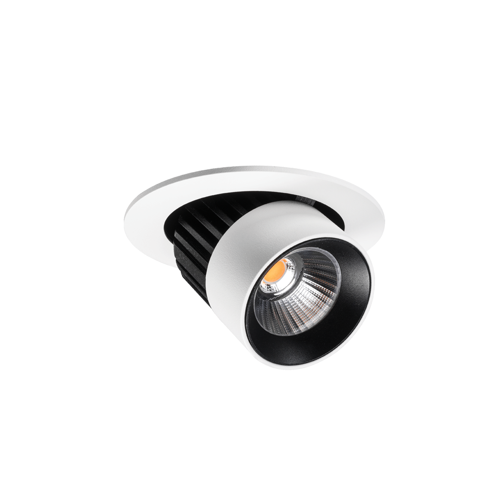 Switch Adjustable Downlight