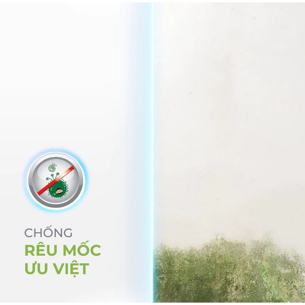 Sơn lót chống kiềm nội thất