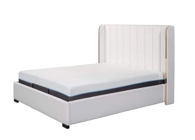 Giường khung chỉnh điện B100