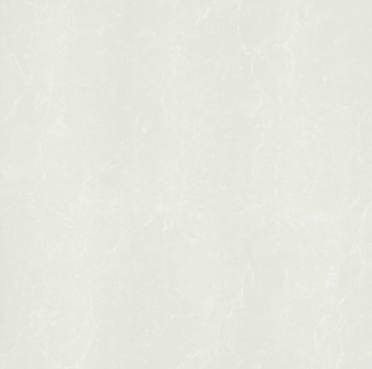 Gạch Taicera 60x60 P67762N