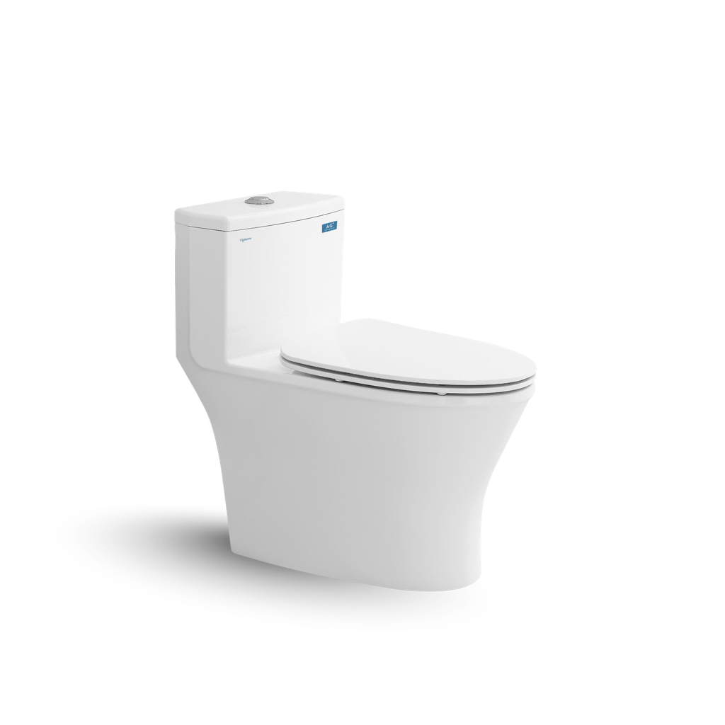 Bồn cầu một khối V803